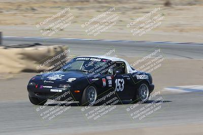 media/Nov-04-2023-CalClub SCCA (Sat) [[cb7353a443]]/Group 3/Cotton Corners (Race)/